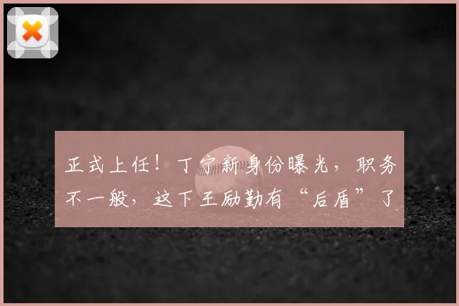 正式上任！丁宁新身份曝光，职务不一般，这下王励勤有“后盾”了