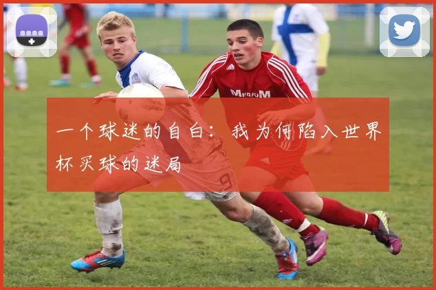 一个球迷的自白:我为何陷入世界杯买球的迷局