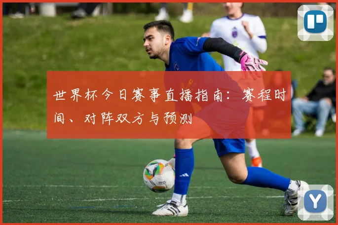 世界杯今日赛事直播指南:赛程时间、对阵双方与预测