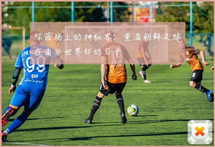 绿茵场上的神秘客：重温朝鲜足球在南非世界杯的日子
