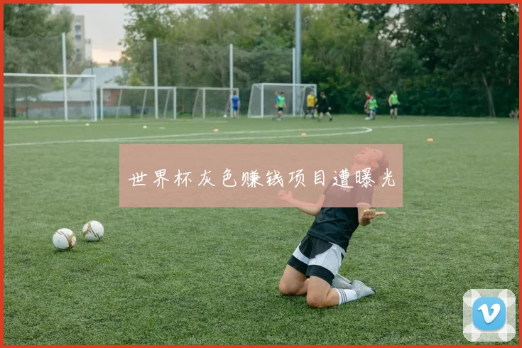 世界杯灰色赚钱项目遭曝光