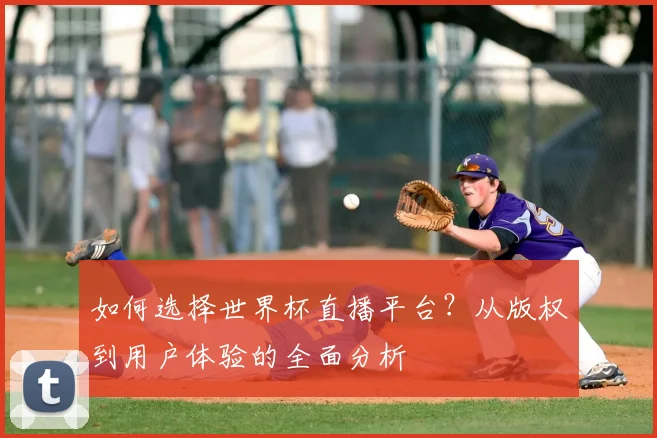 如何选择世界杯直播平台?从版权到用户体验的全面分析