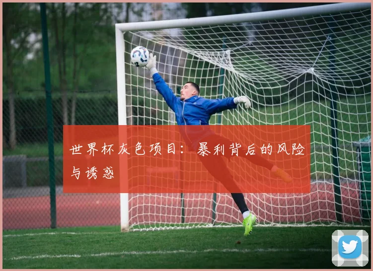世界杯灰色项目:暴利背后的风险与诱惑
