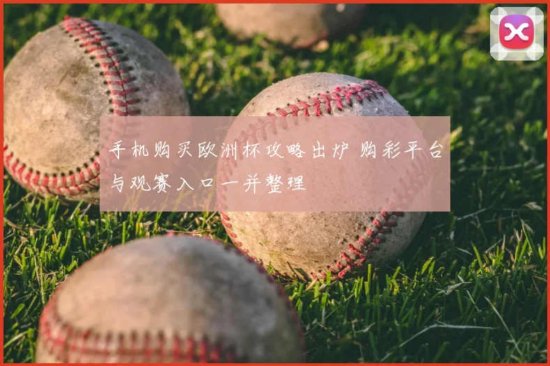 手机购买欧洲杯攻略出炉 购彩平台与观赛入口一并整理
