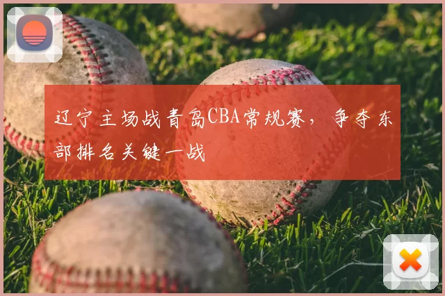 辽宁主场战青岛CBA常规赛，争夺东部排名关键一战