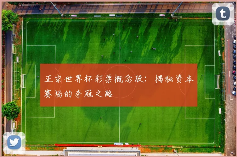 正宗世界杯彩票概念股：揭秘资本赛场的夺冠之路