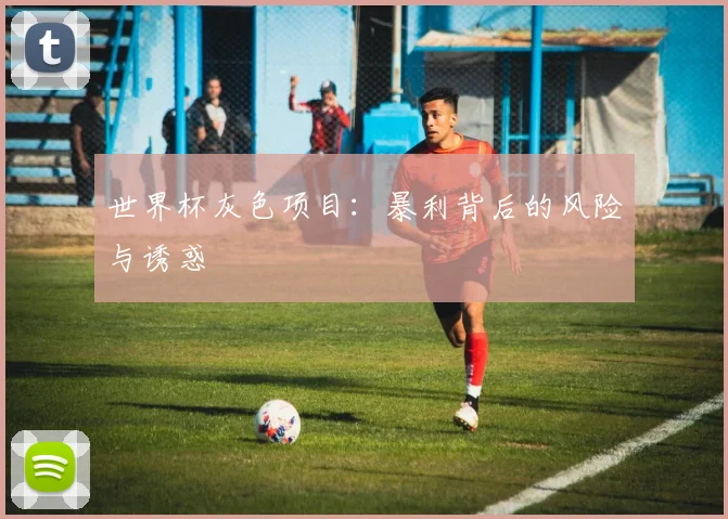 世界杯灰色项目:暴利背后的风险与诱惑